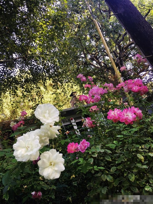 裝修別墅設(shè)計